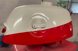 Honda Ivory Paint